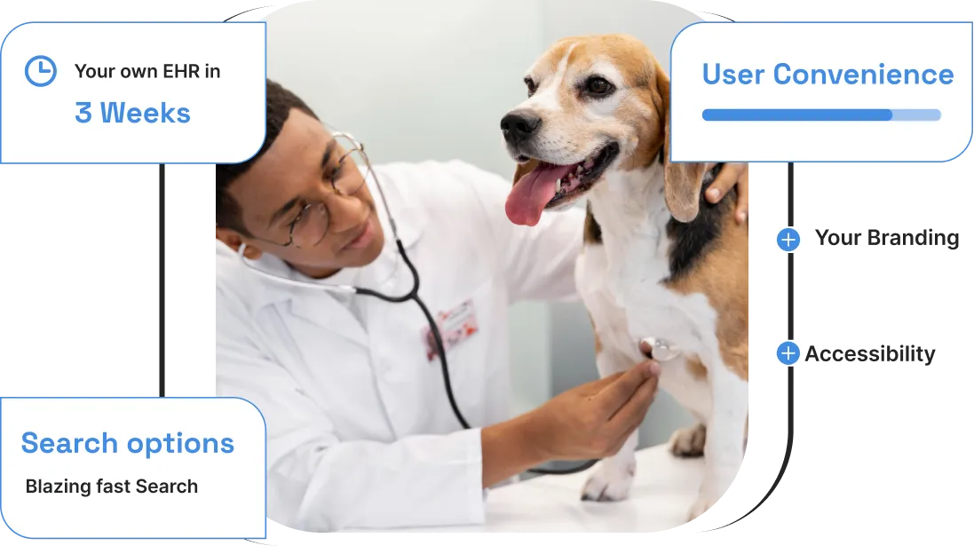 veterinary care